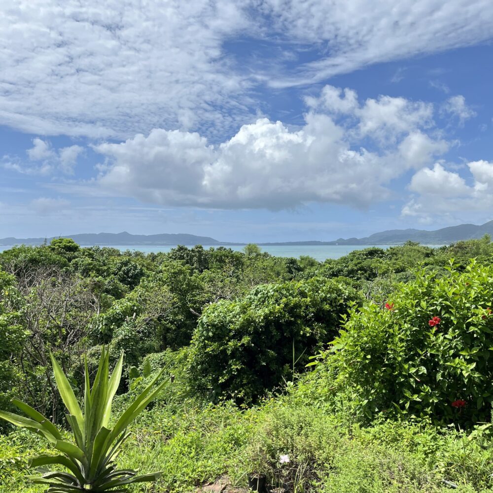 石垣島　宮良農園　かき氷