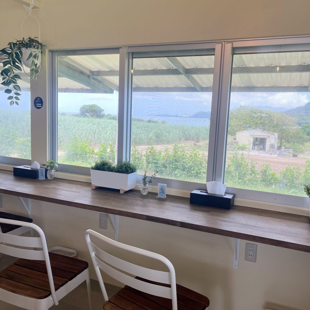 石垣島　キッチンいばるま　パイナップル