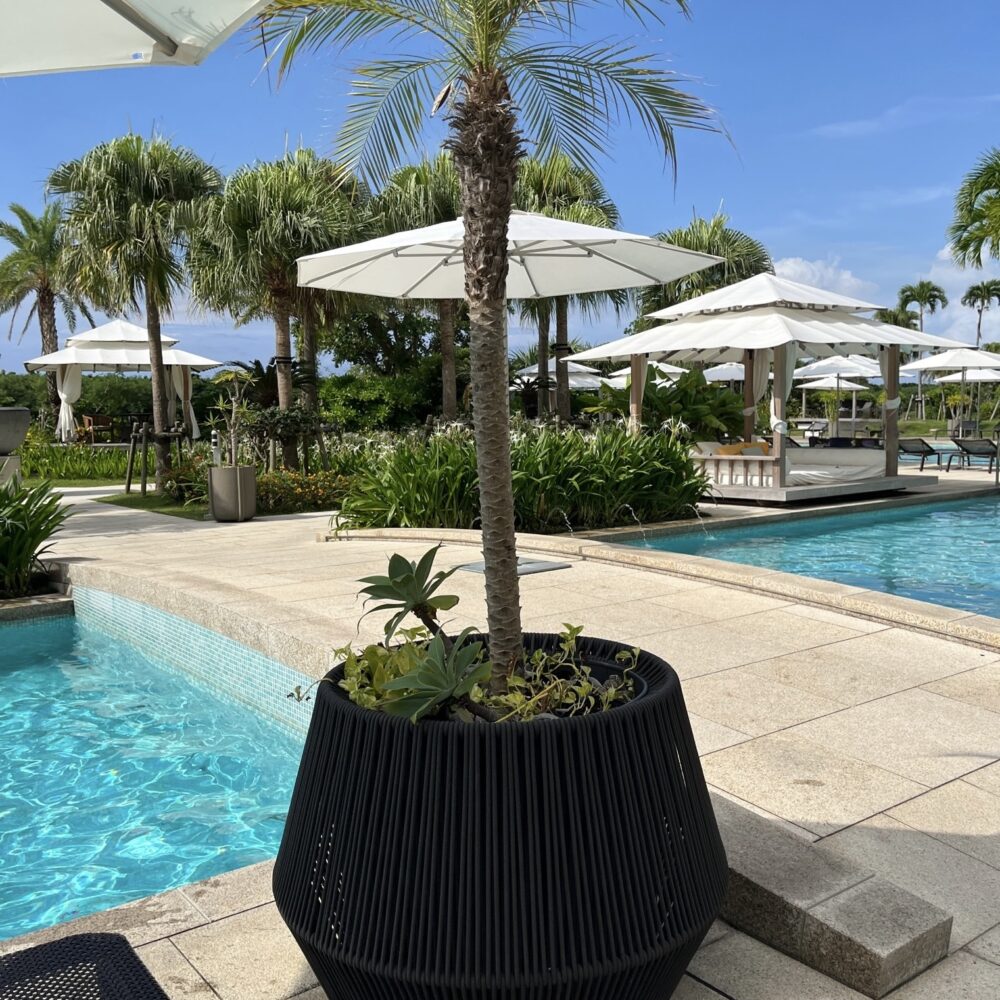 ANAインターコンチネンタル　石垣島　ベイウィング