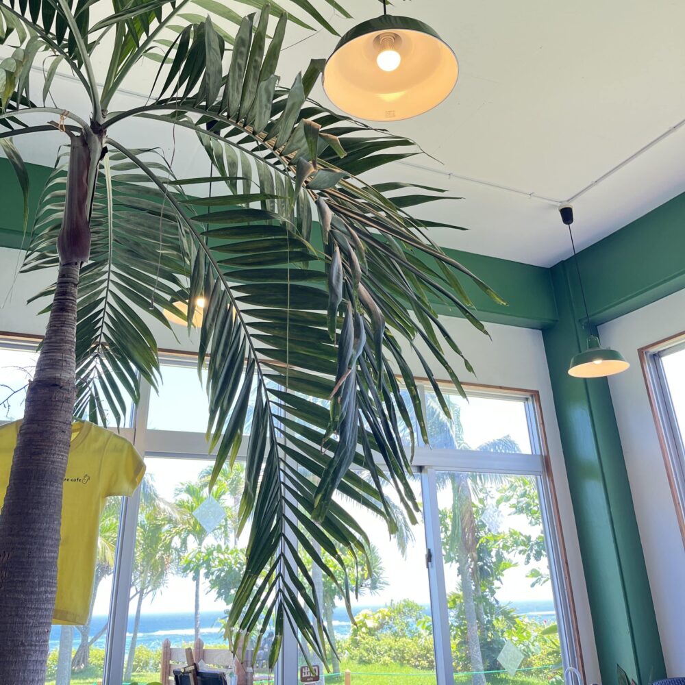 石垣島　のばれカフェ　アイスクリーム