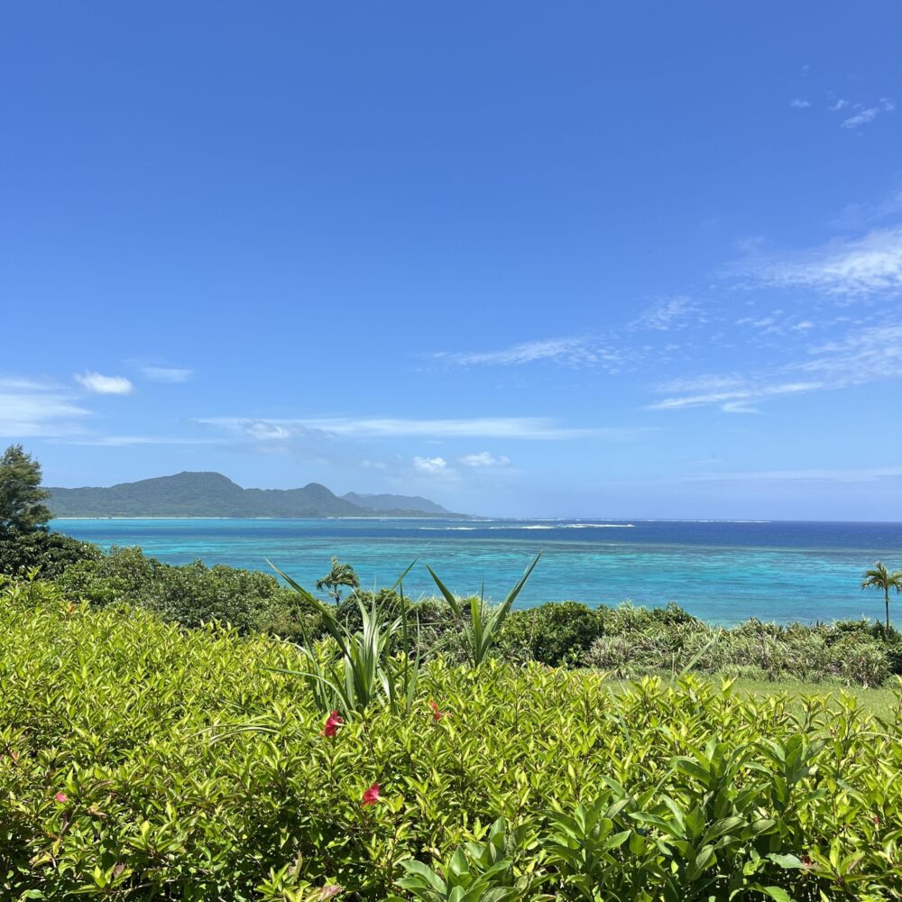 石垣島　のばれカフェ　海が見える
