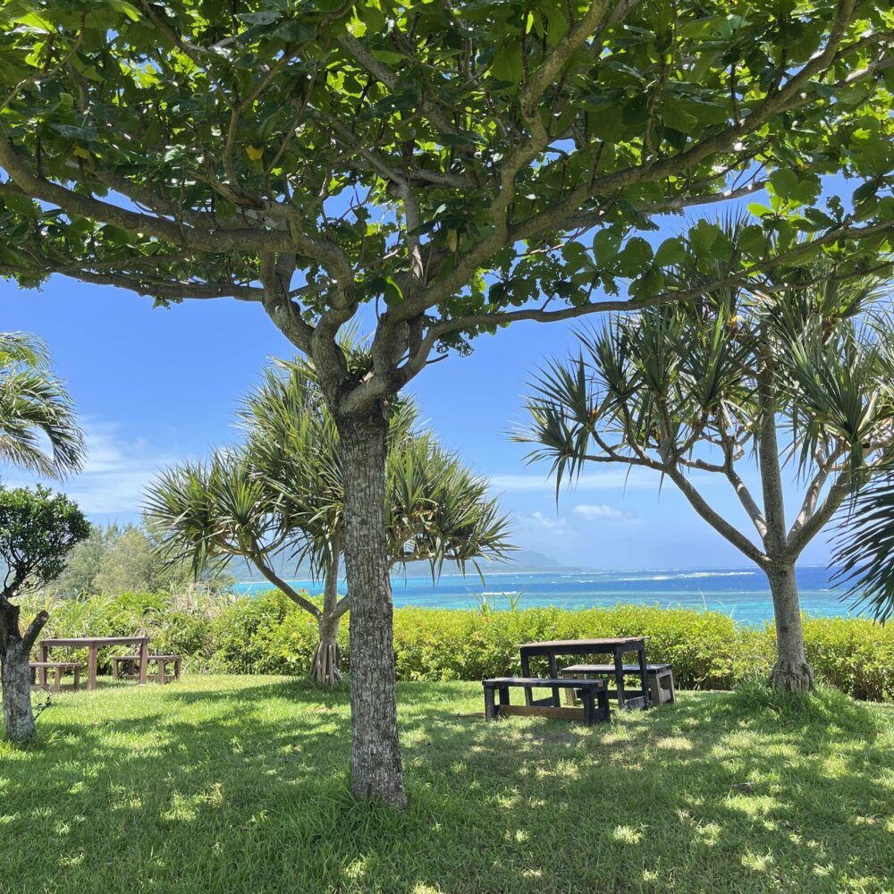 石垣島　のばれカフェ　沖縄そば
