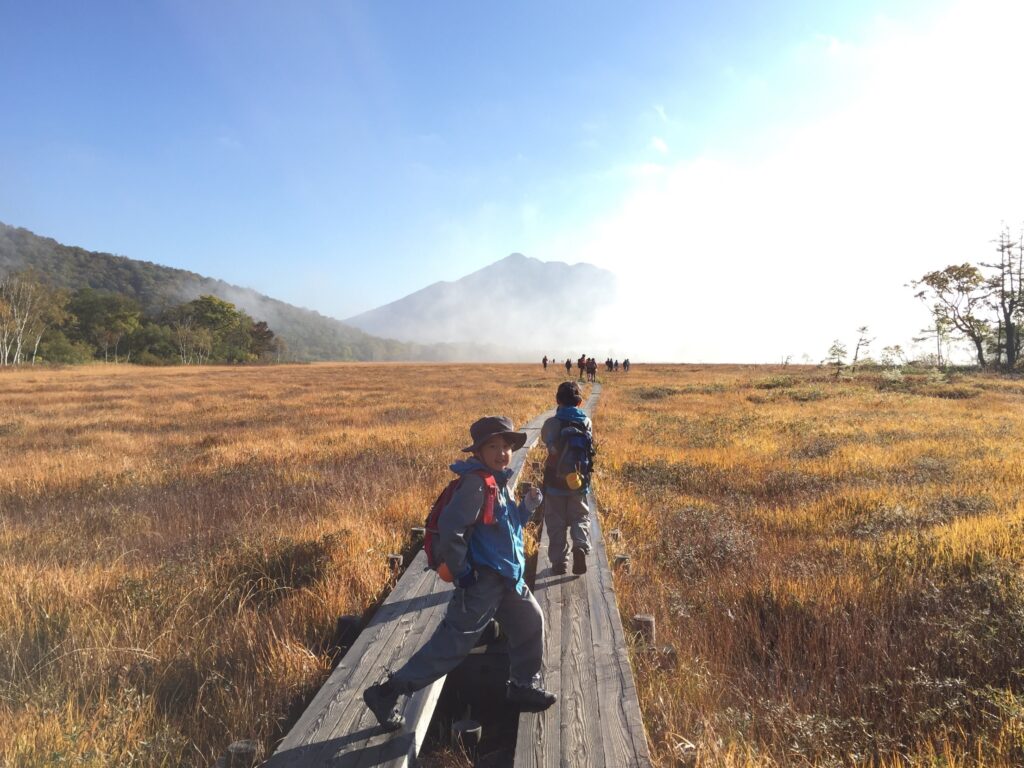 尾瀬ヶ原トレッキング y