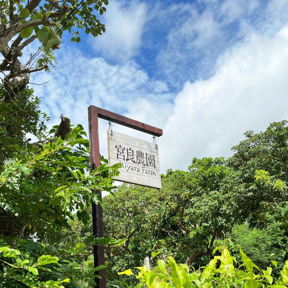 石垣島　宮良農園　かき氷