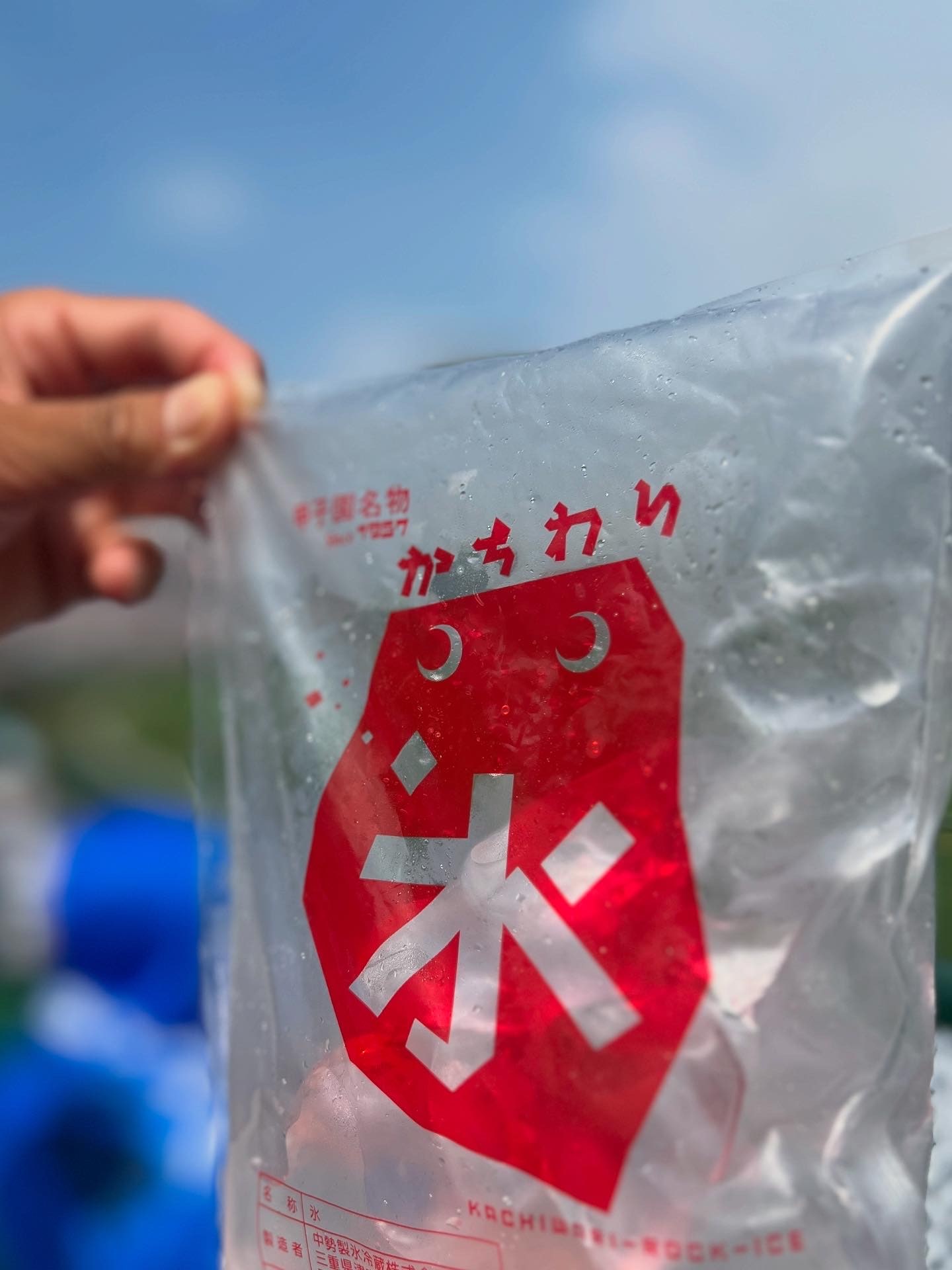 阪神甲子園球場　甲子園名物かちわり氷　