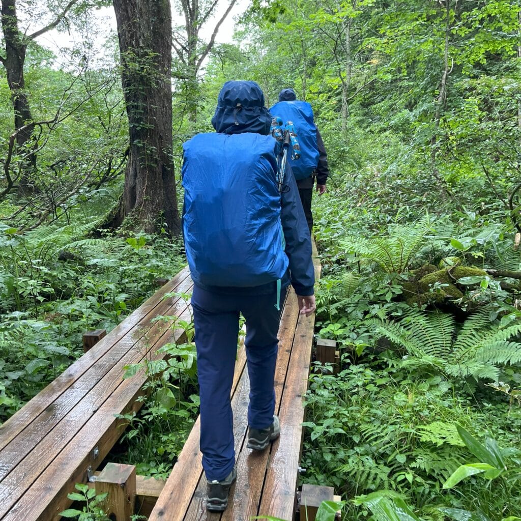 雨の尾瀬ヶ原トレッキング
