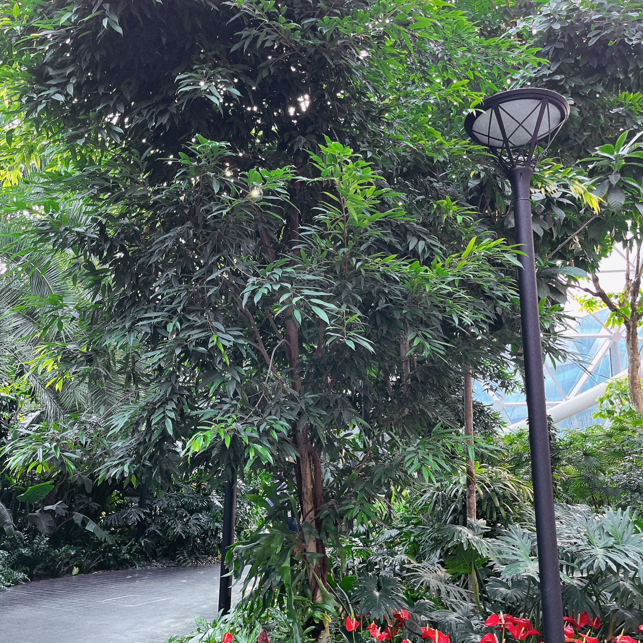 ハマド国際空港　オーチャード