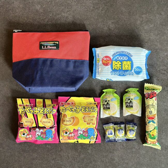 LEE10月号 付録L.L.Bean バイカラーポーチ