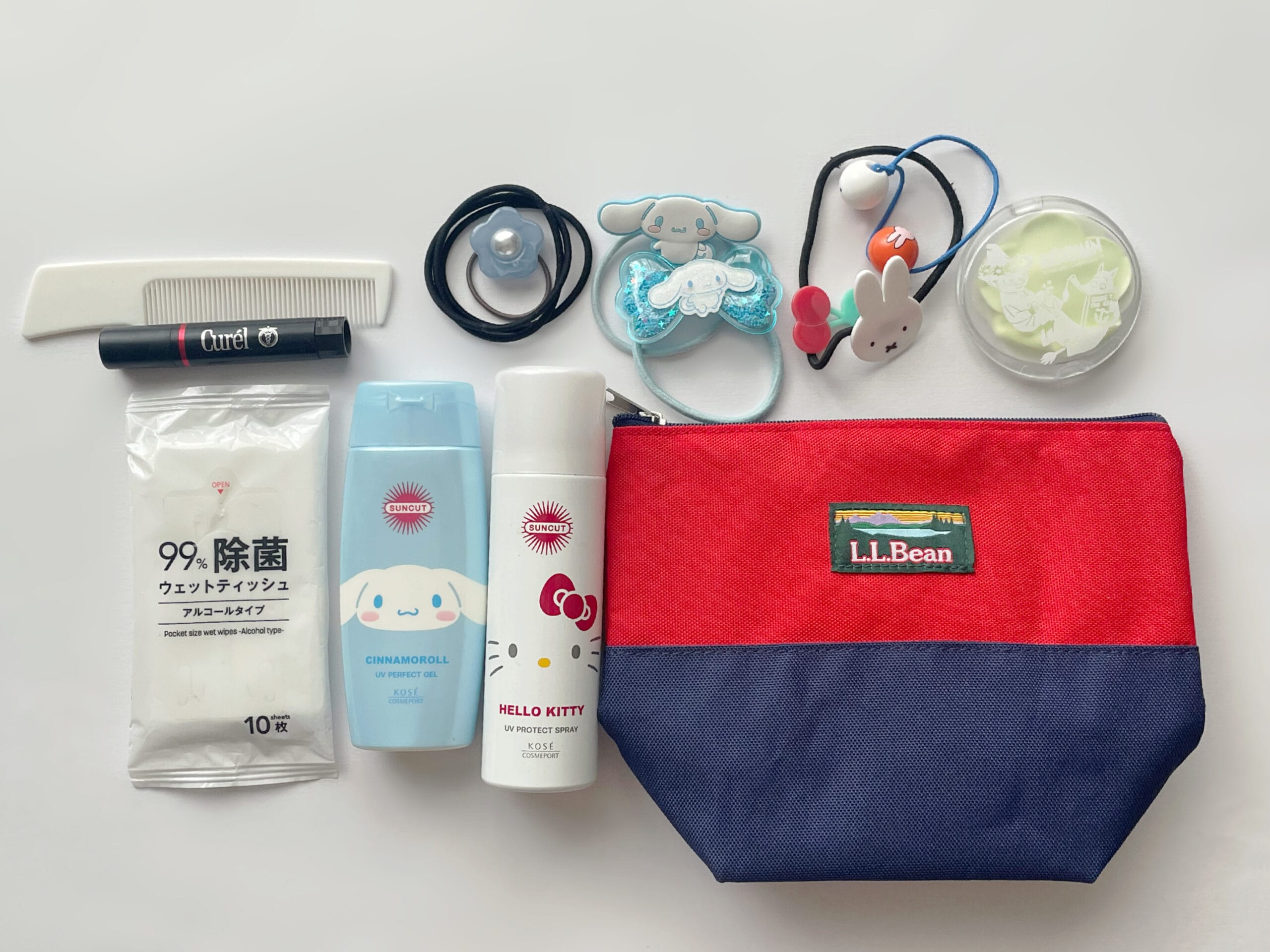 L.L.Beanバイカラーポーチとポーチの中身