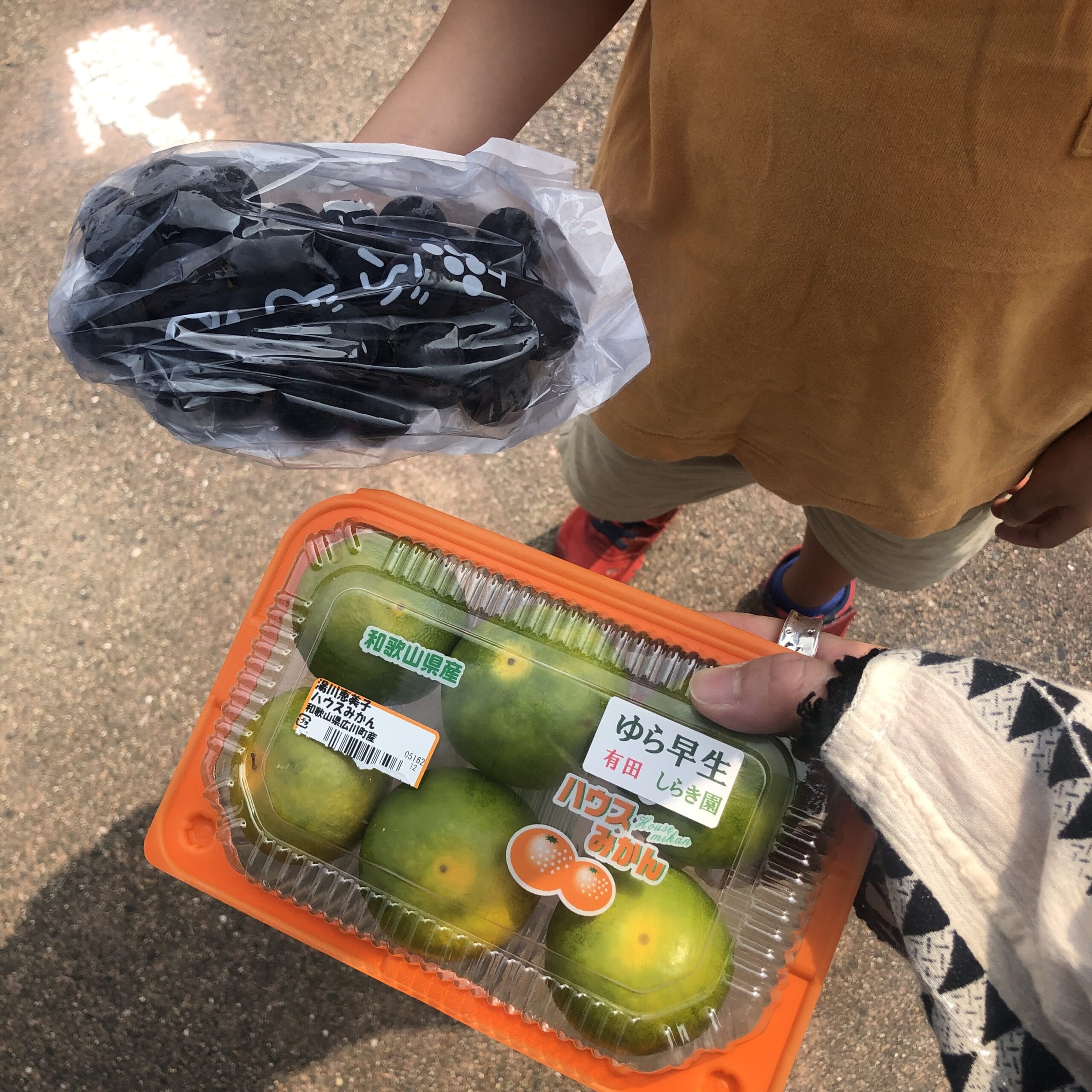 千壽庵吉宗　奈良総本店　くずもち　葛餅　梅干館　梅翁園　ウメタ　みなべ町　和歌山　奈良　奈良公園