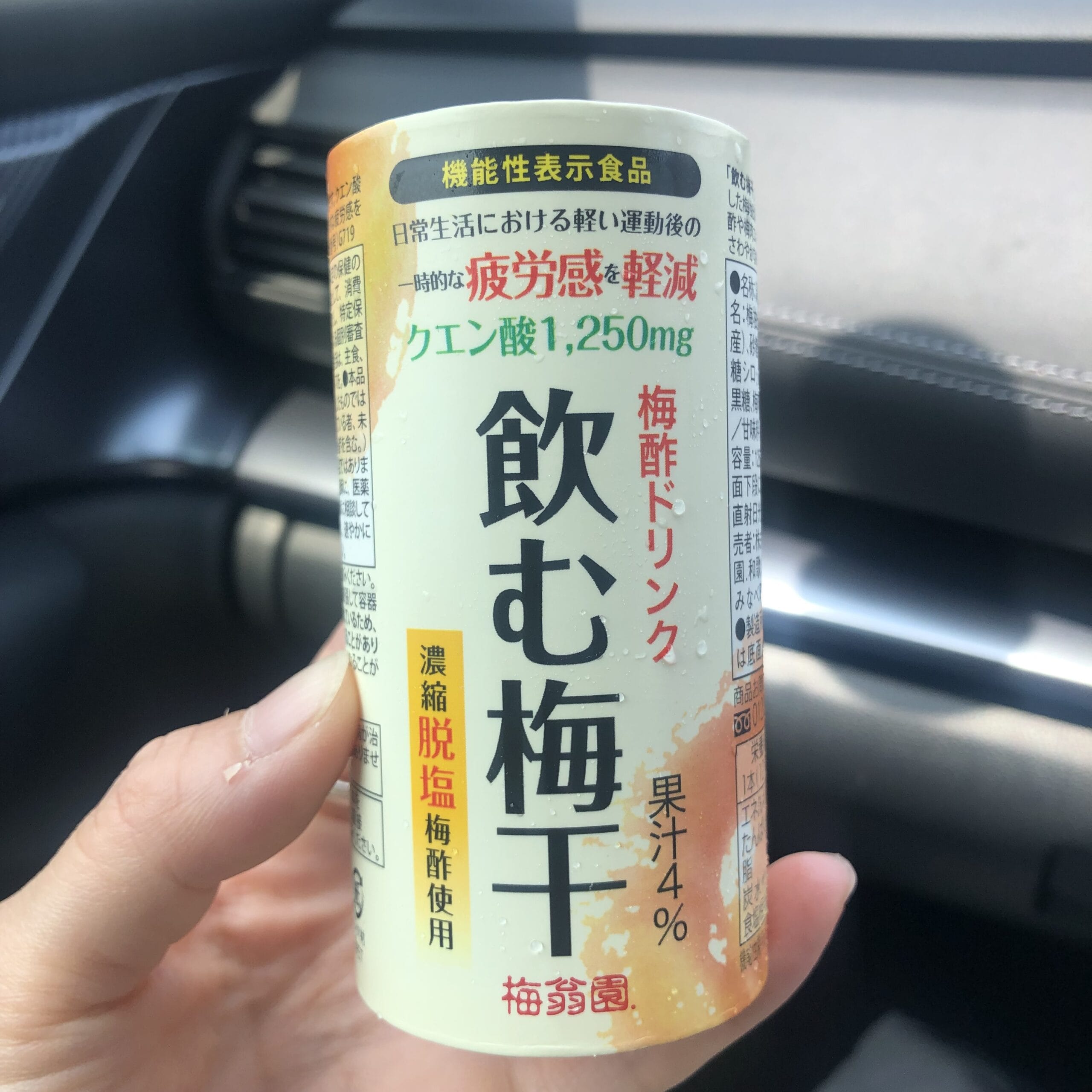 千壽庵吉宗　奈良総本店　くずもち　葛餅　梅干館　梅翁園　ウメタ　みなべ町　和歌山　奈良　奈良公園