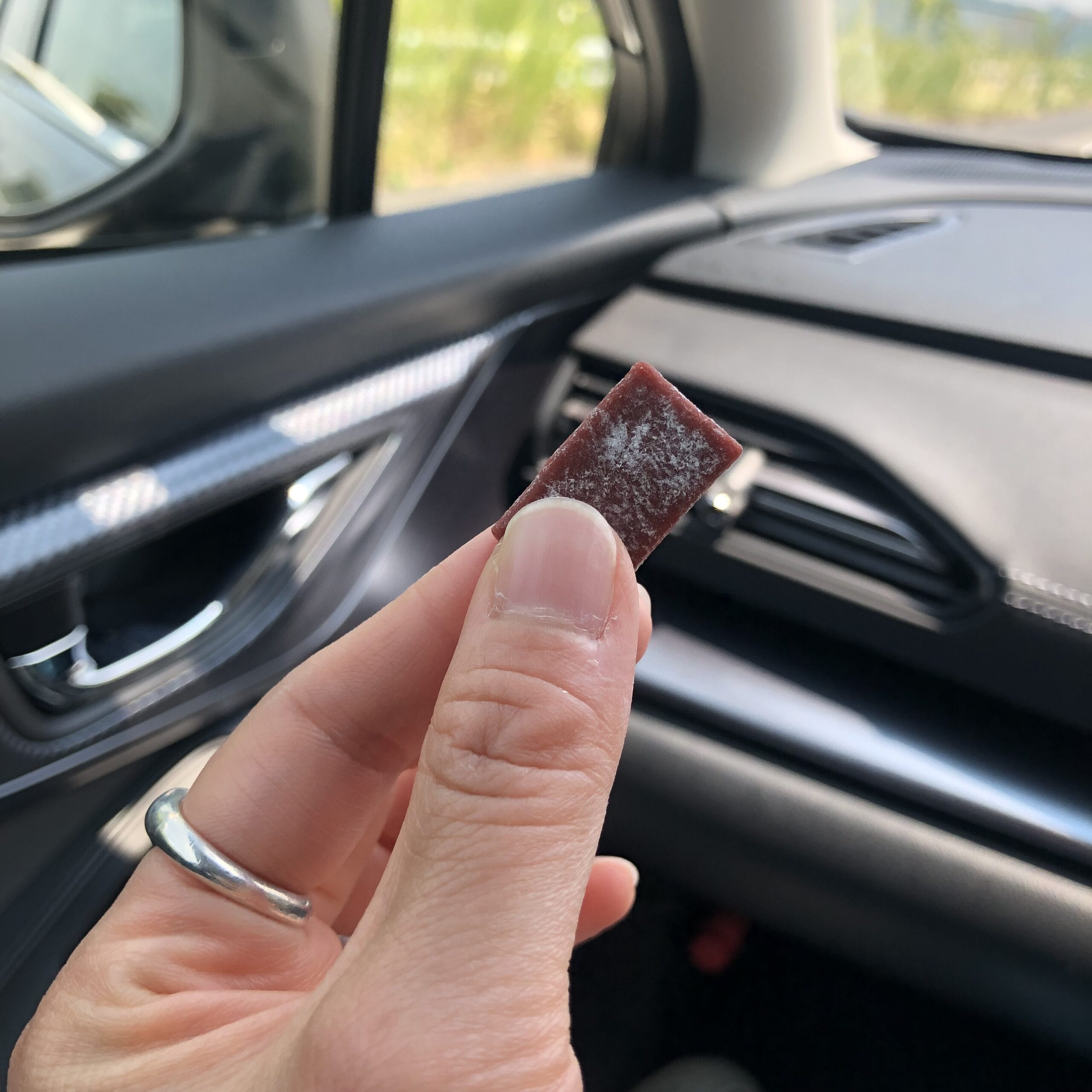 千壽庵吉宗　奈良総本店　くずもち　葛餅　梅干館　梅翁園　ウメタ　みなべ町　和歌山　奈良　奈良公園