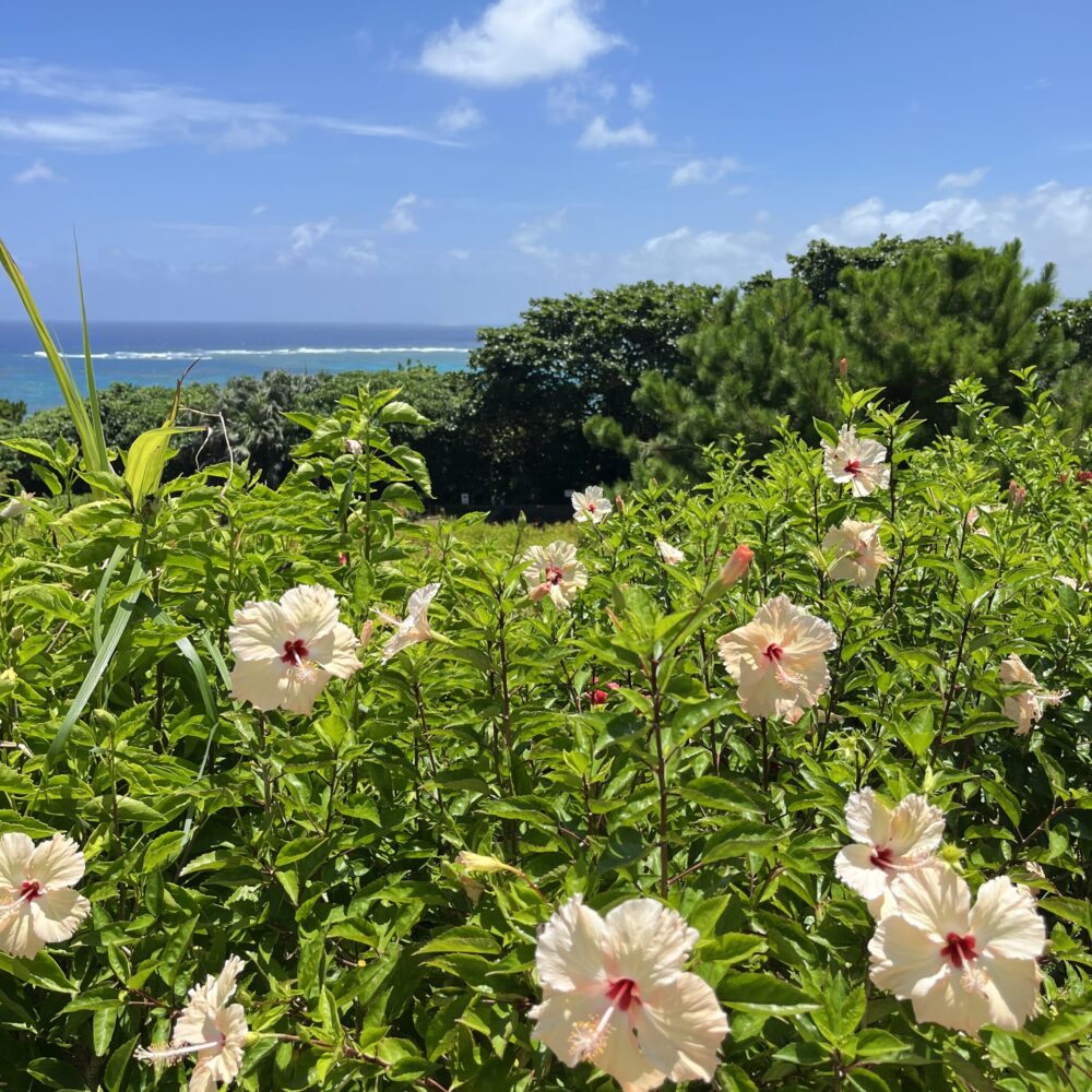 石垣島　玉取崎展望台　絶景