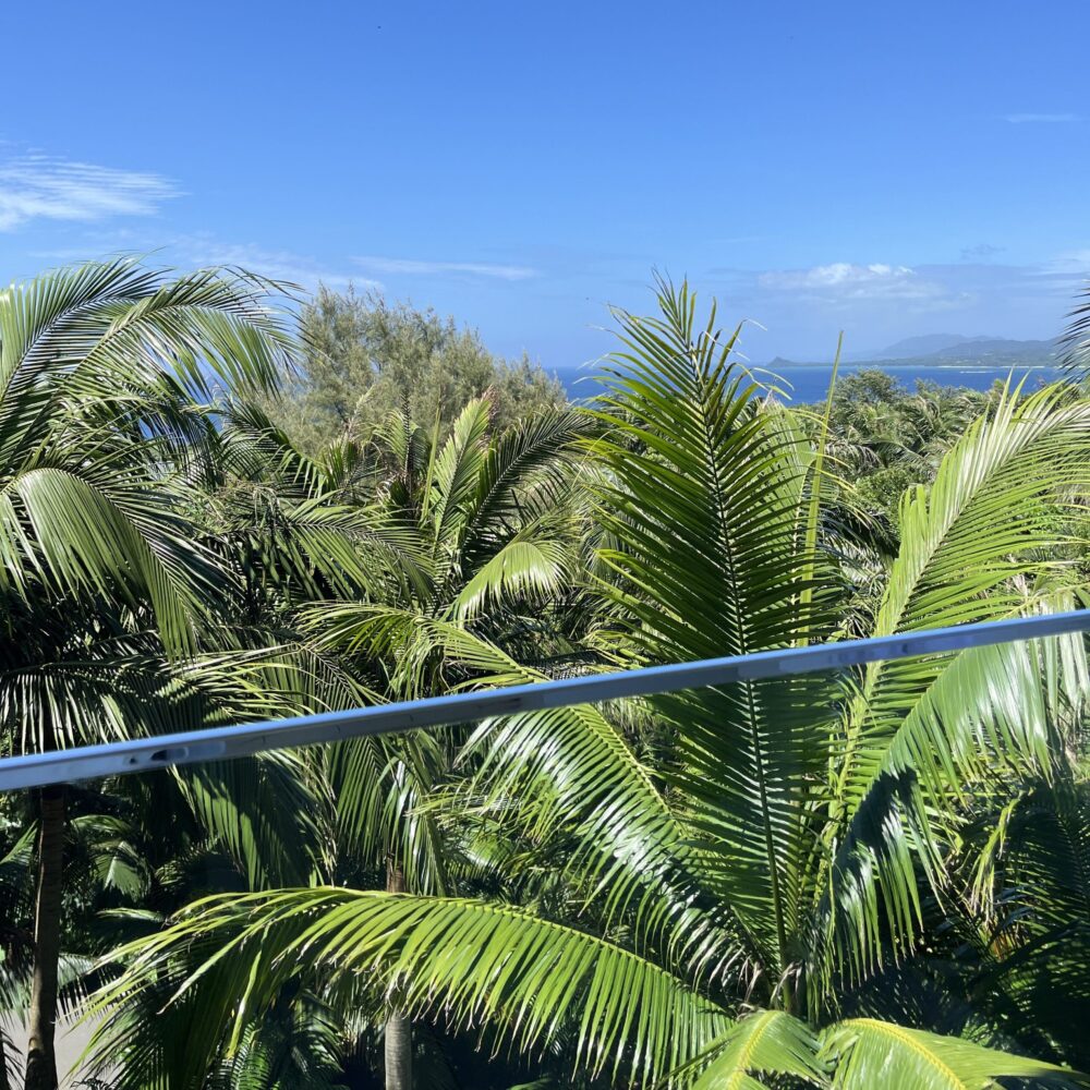 サタケ八重山ヤシ記念館　石垣島　博物館