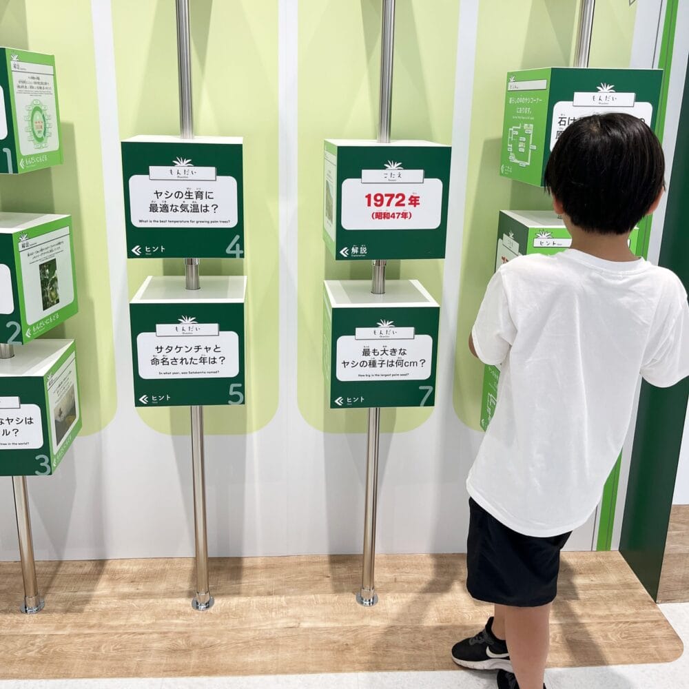 サタケ八重山ヤシ記念館　石垣島　博物館