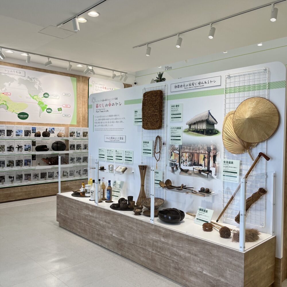 サタケ八重山ヤシ記念館　石垣島　博物館