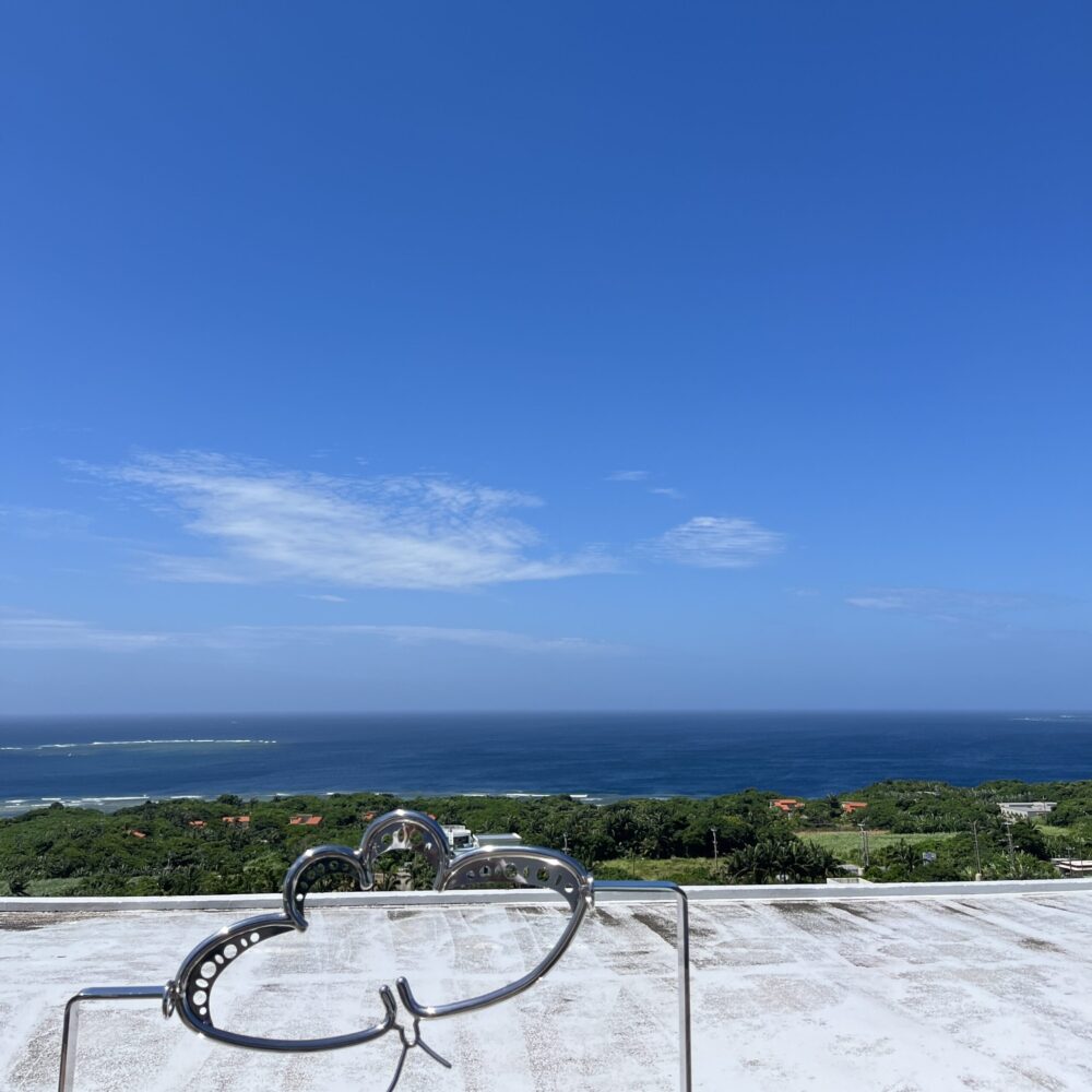 サタケ八重山ヤシ記念館　石垣島　博物館