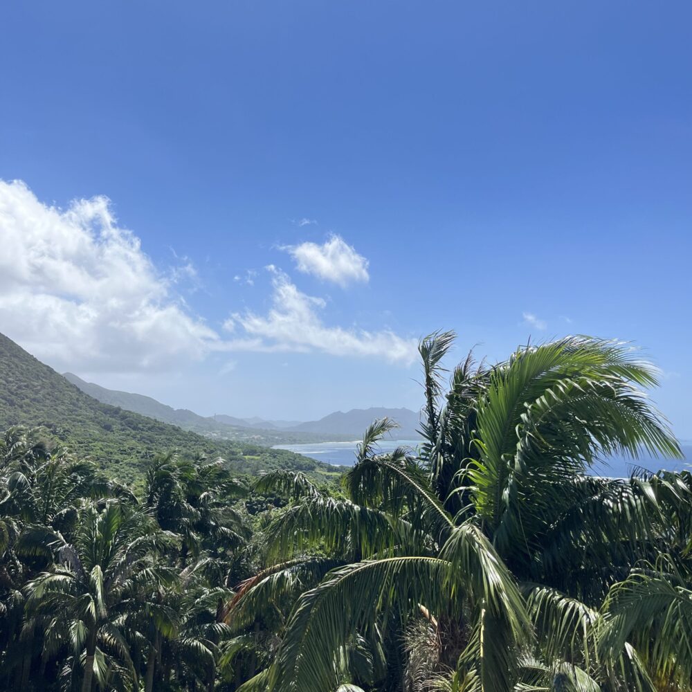 サタケ八重山ヤシ記念館　石垣島　博物館