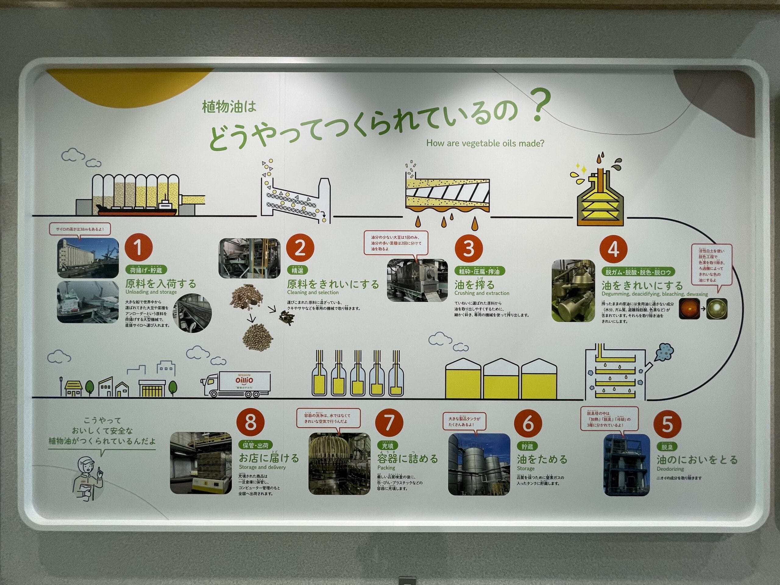 日清オイリオ磯子事業場内「あぶらミュージアム」内、「植物油はどうやってつくられているの？」の展示パネル。