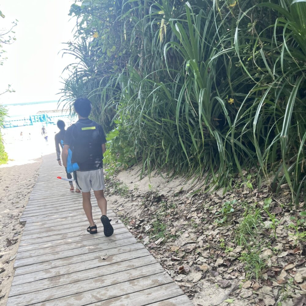 石垣島　シュノーケリング　マエサトビーチ