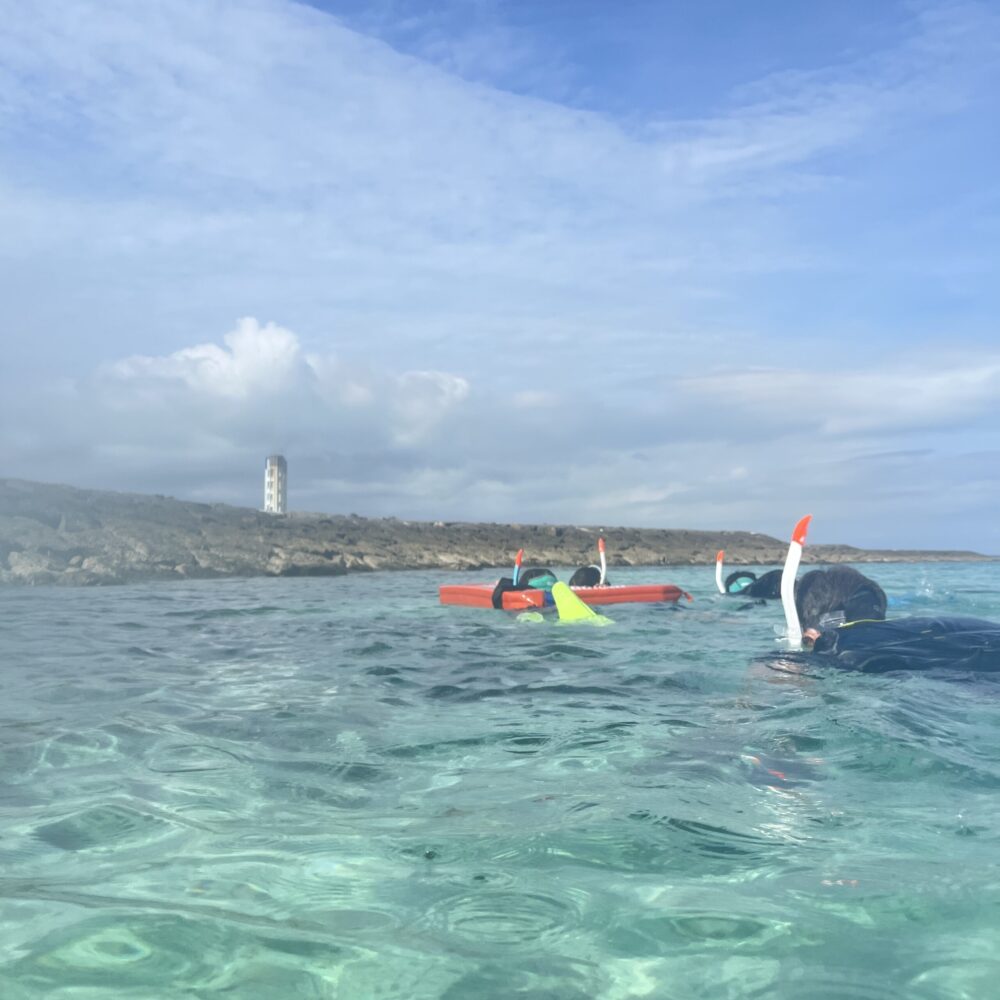 石垣島　シュノーケリング　マエサトビーチ