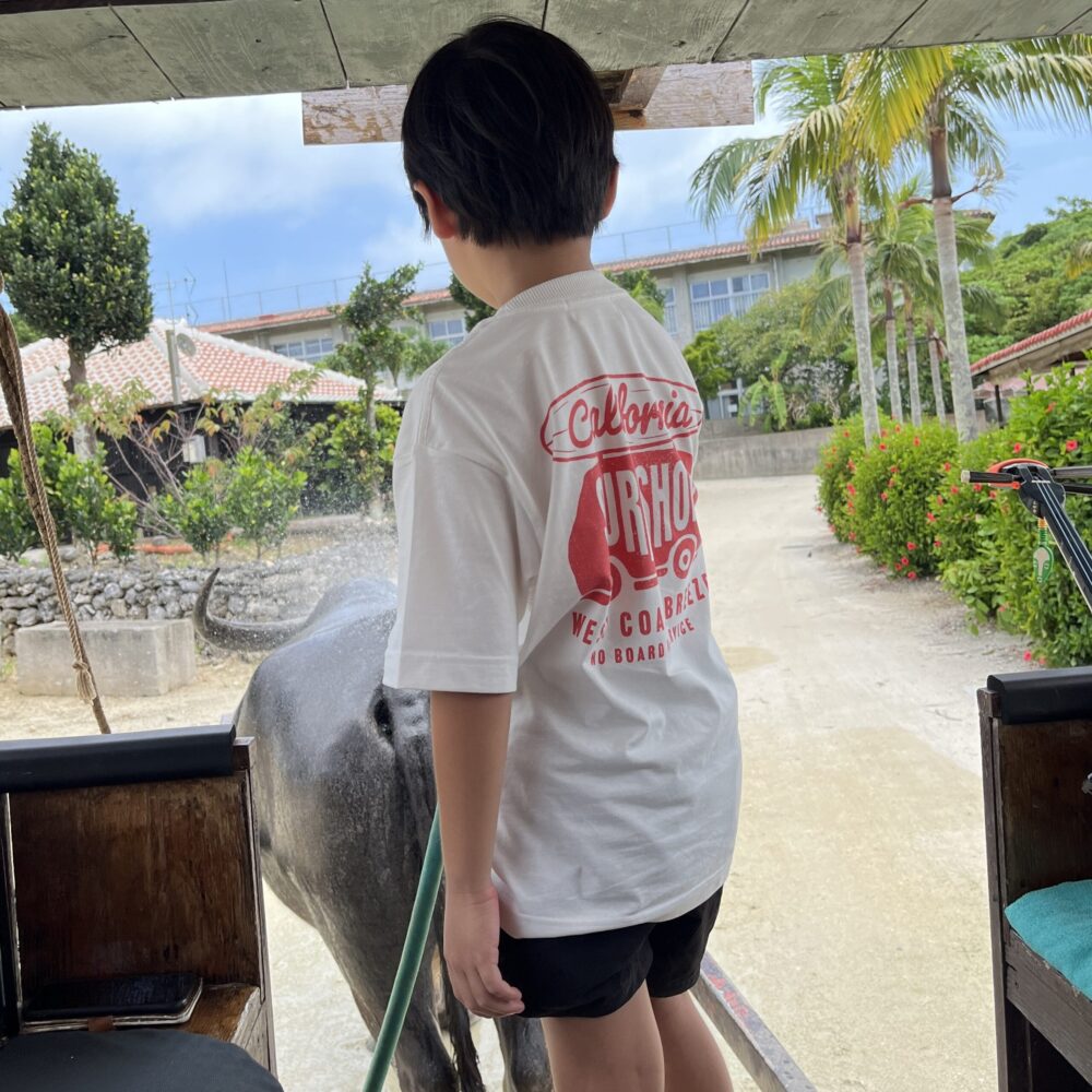 竹富島　日帰り　水牛車