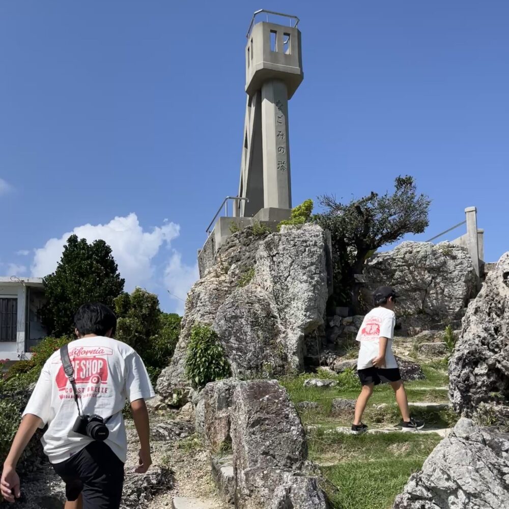 竹富島　日帰り　水牛車