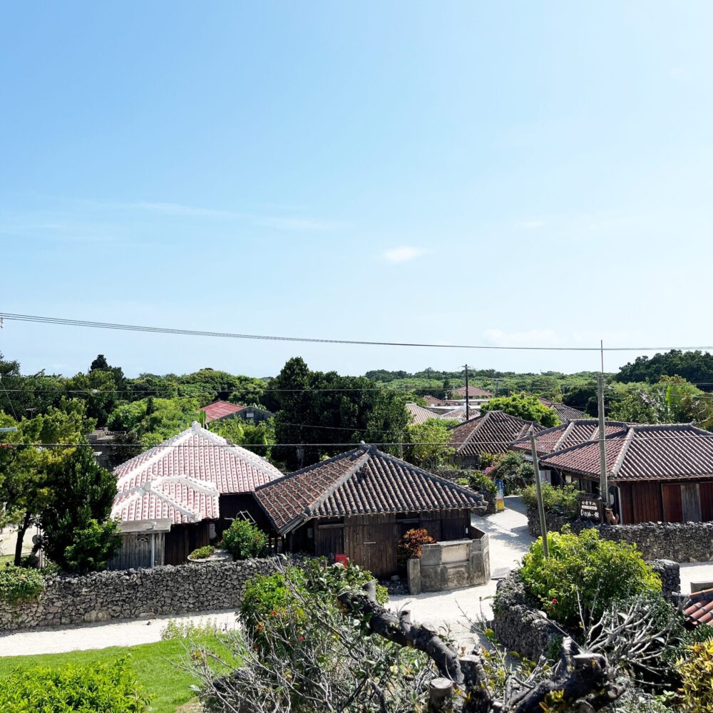 竹富島　日帰り　水牛車