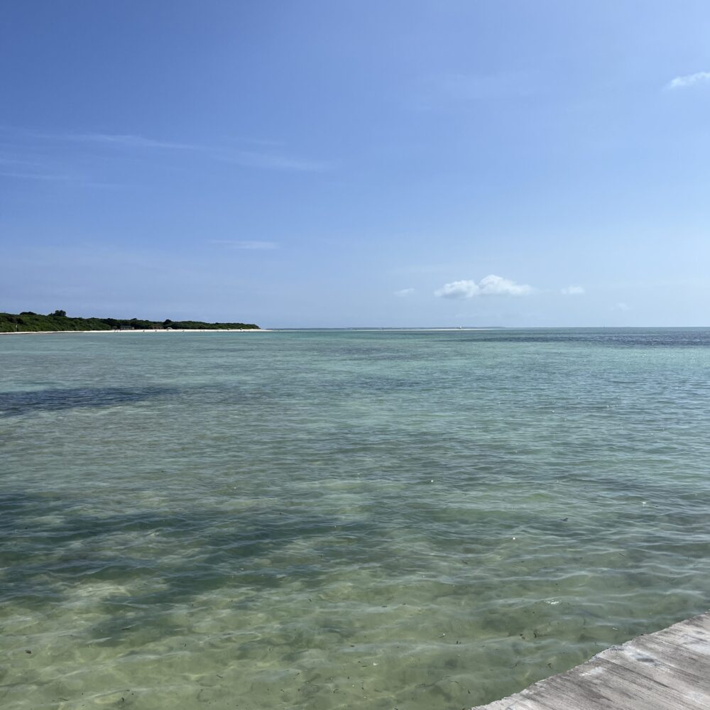 竹富島　日帰り　西桟橋