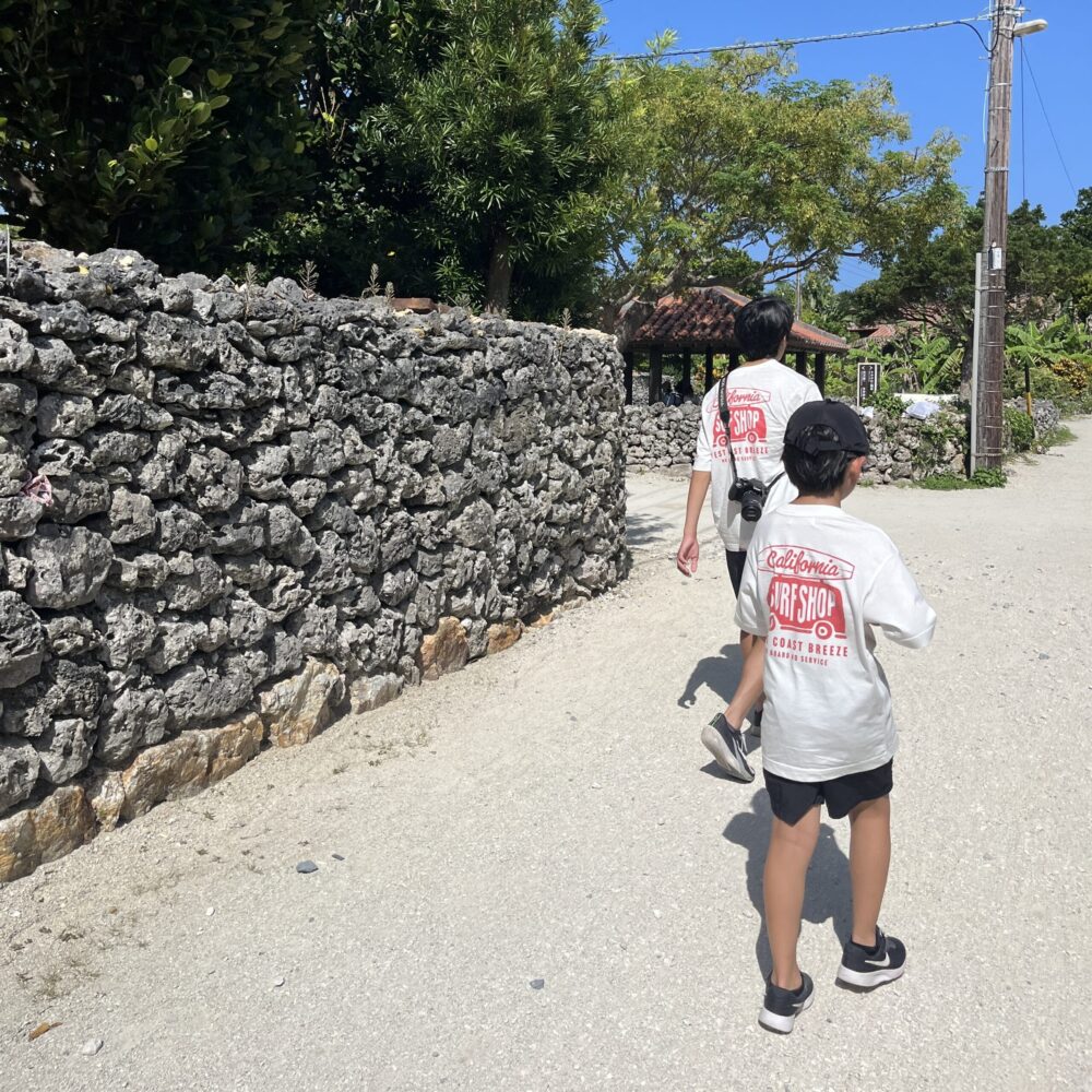 竹富島　日帰り　水牛車