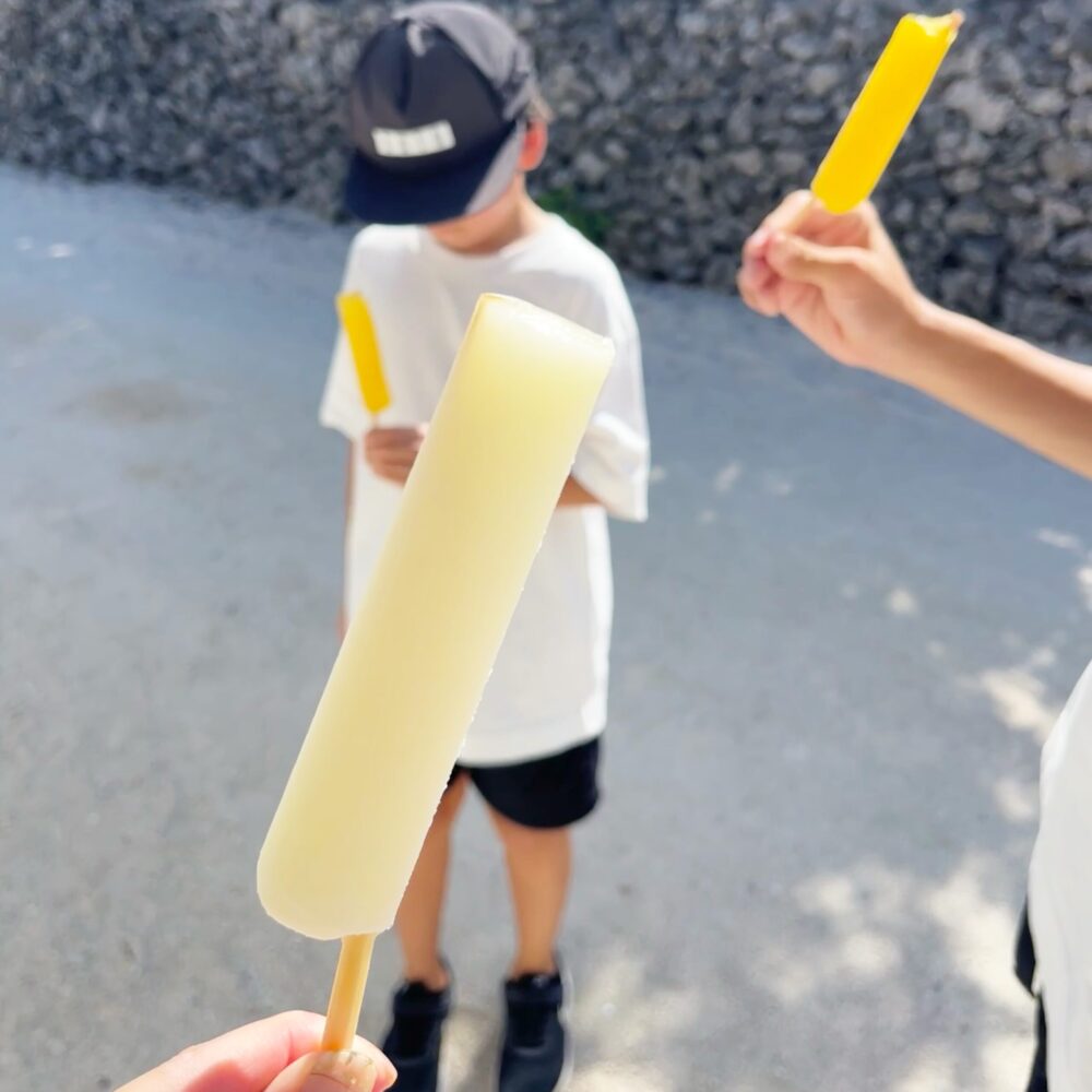 竹富島　日帰り　アイス