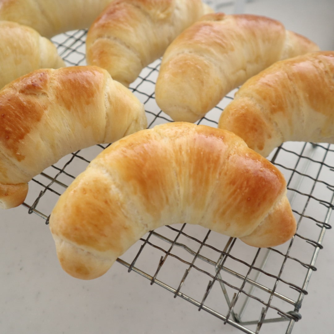 手作りパン バターロール