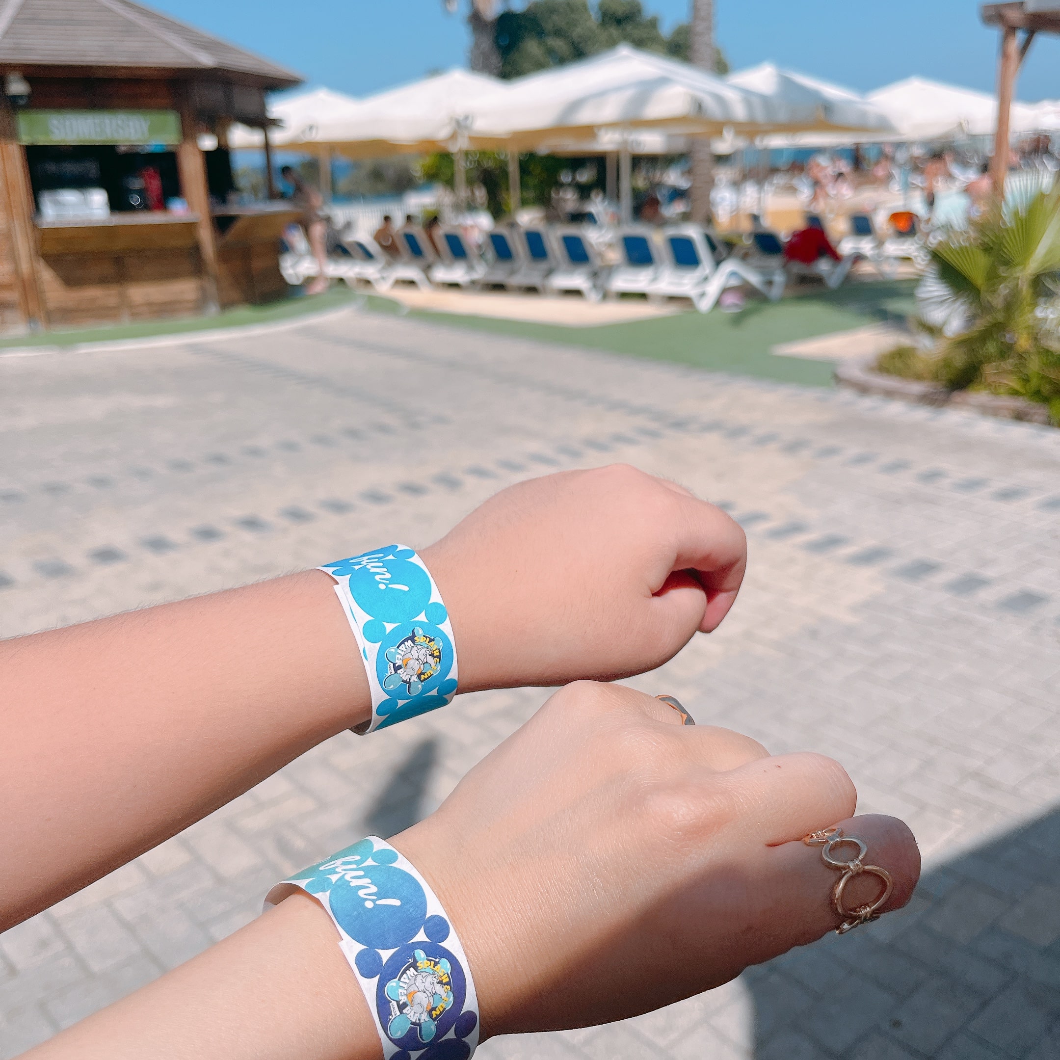 マルタ　プール