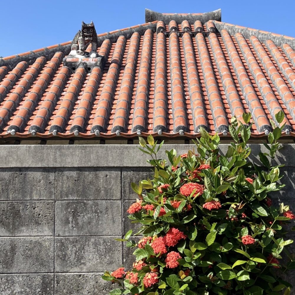 竹富島　水牛車観光　シーサー