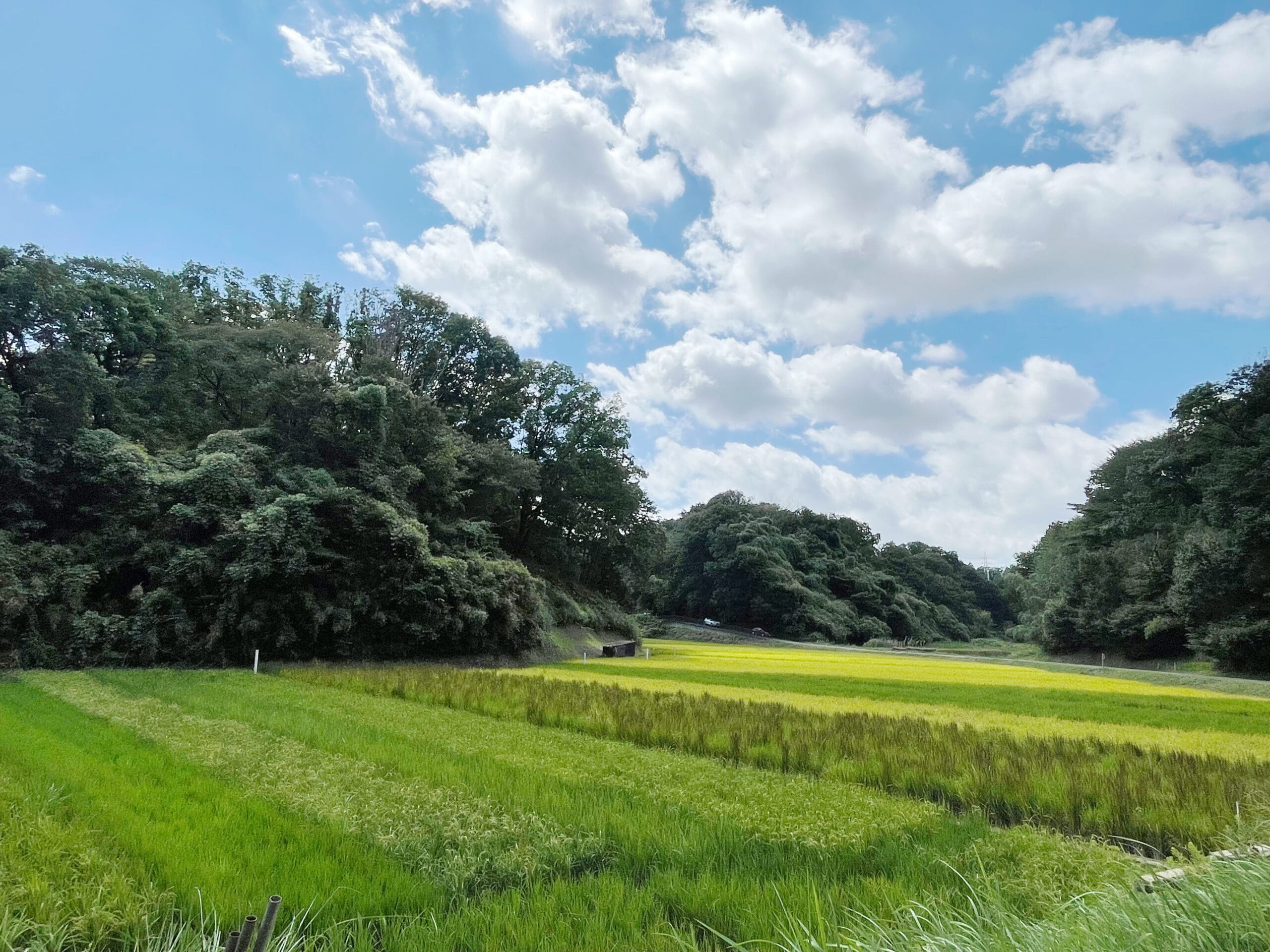 寺家ふるさと村、9月初旬の風景