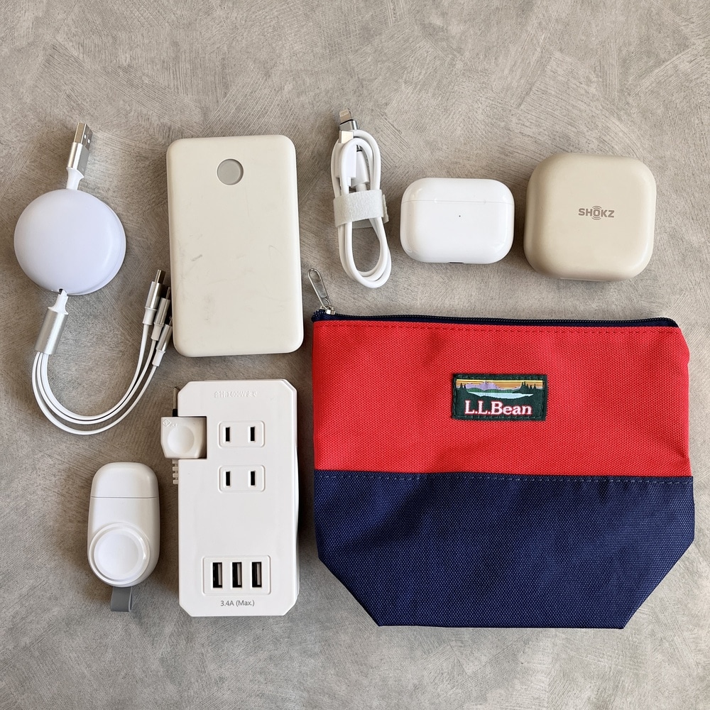 2025年LEE10月号特別付録「L.L.Bean バイカラーポーチ」とガジェット類