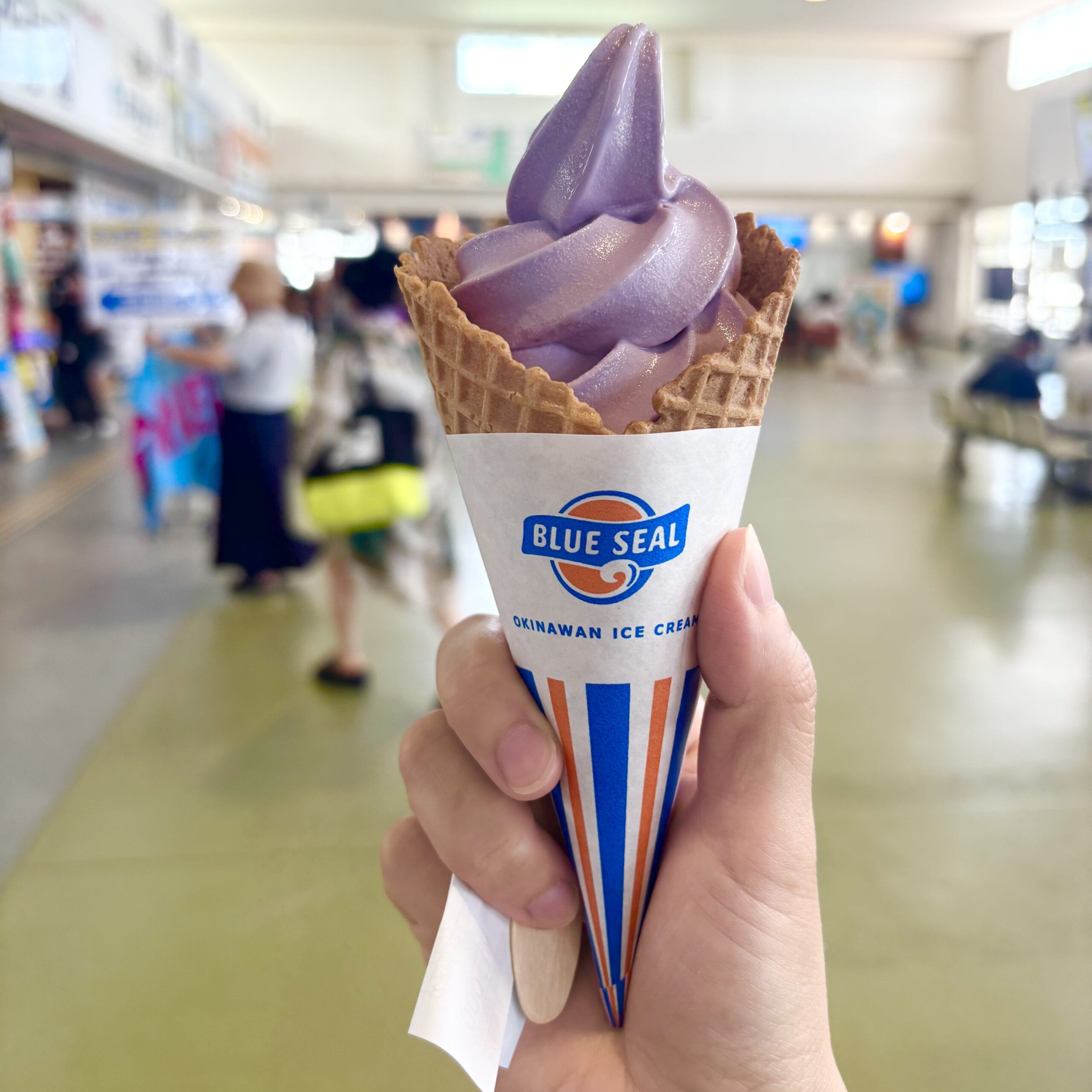 石垣島　アイス　ブルーシール