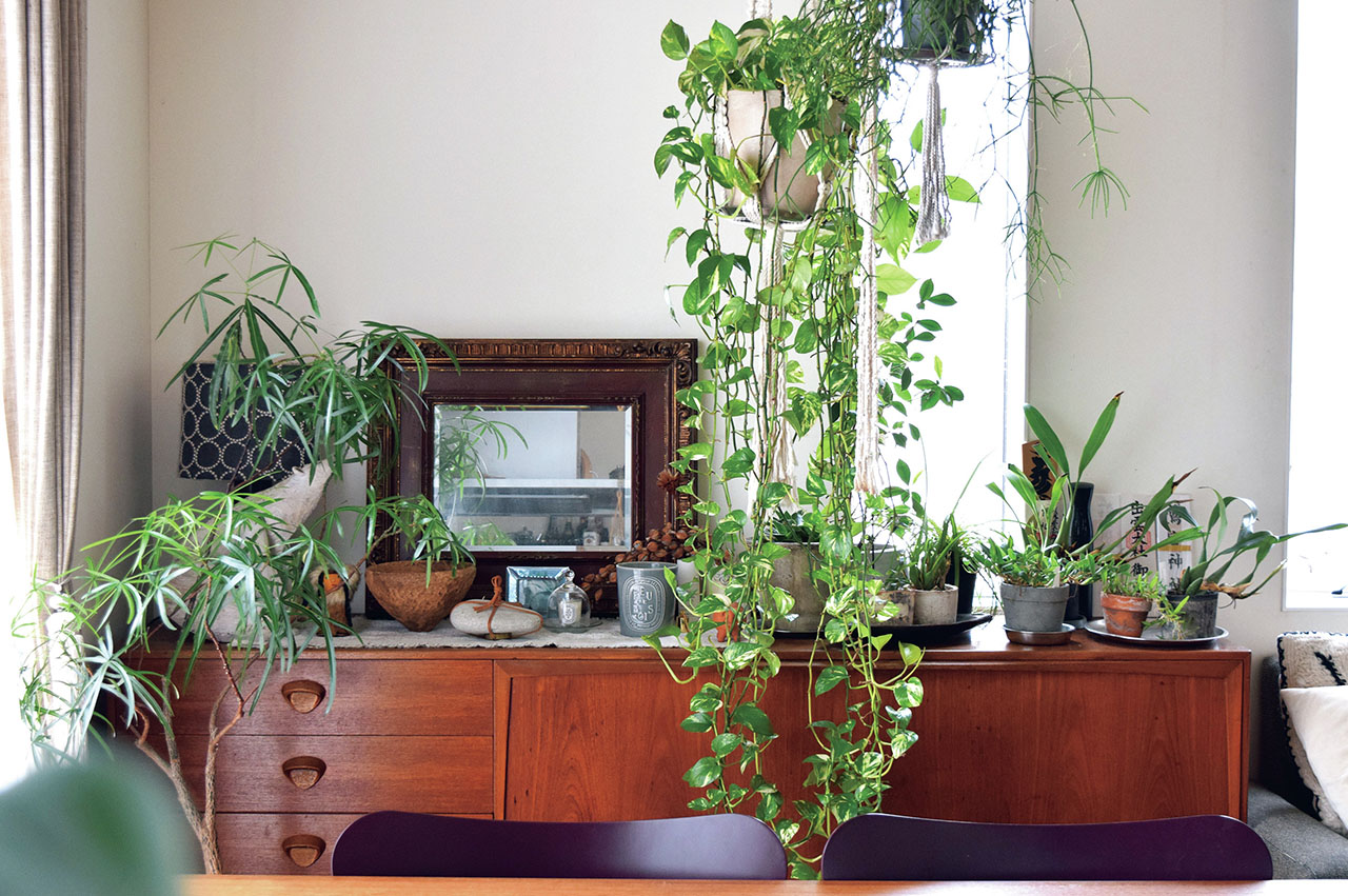 claraさんのキャビネット