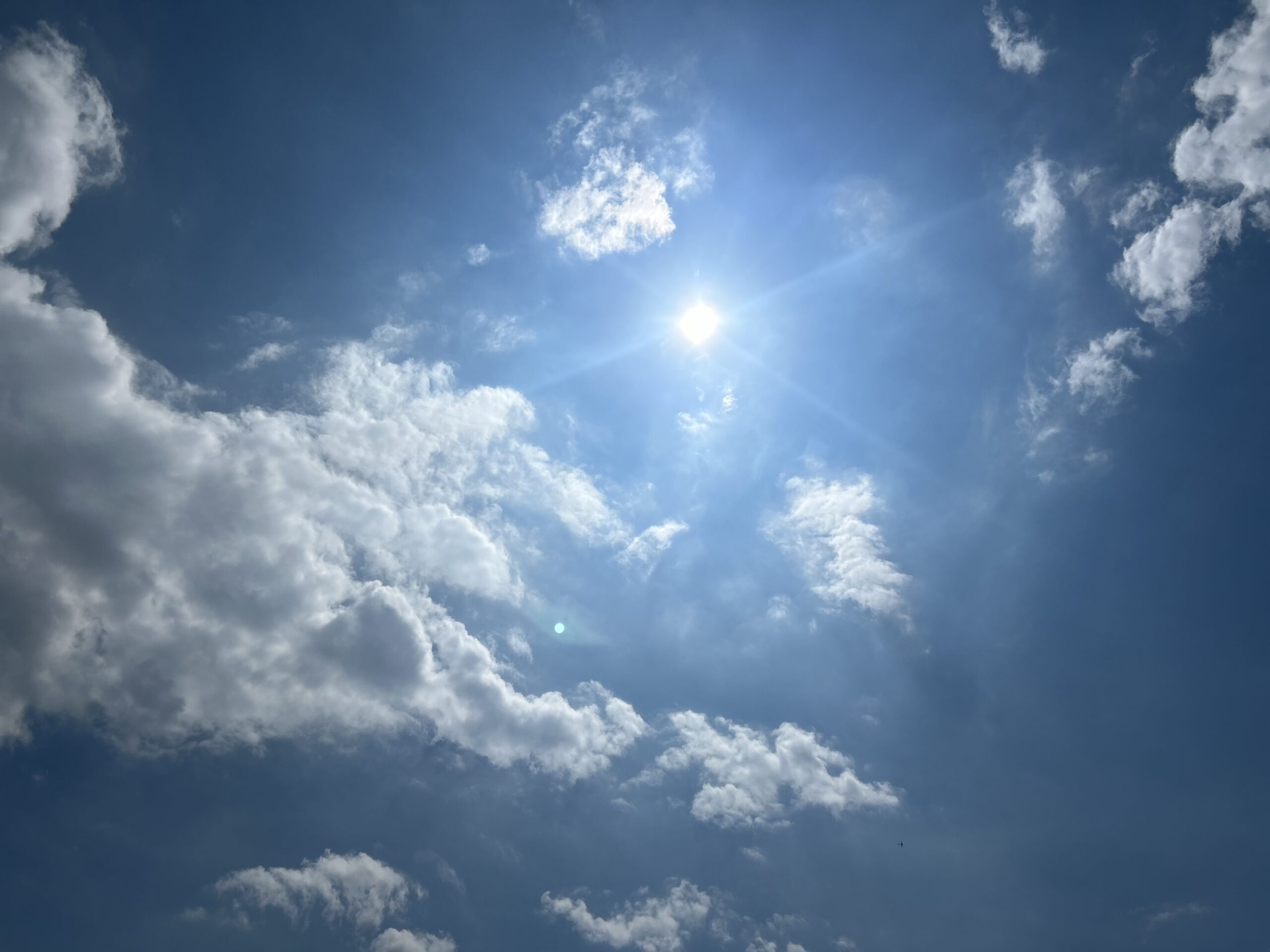 残暑きびしい風景、太陽