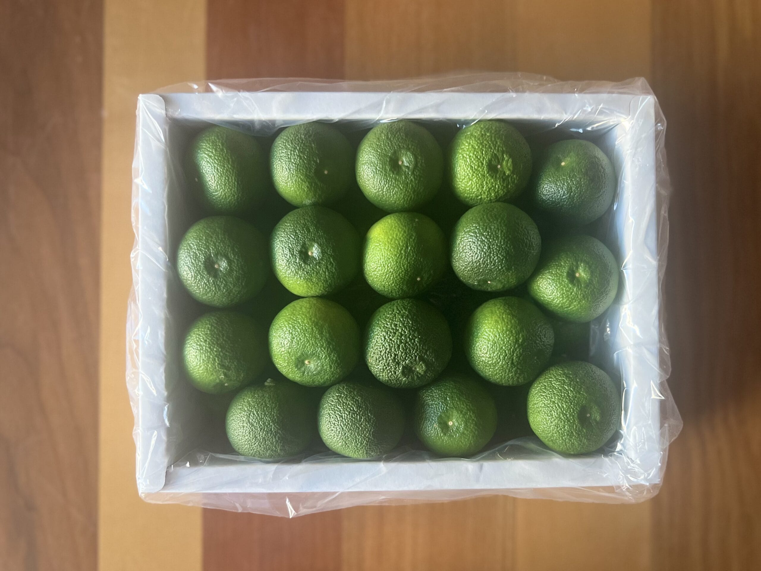 すだちのある暮らし2025／TB icoco