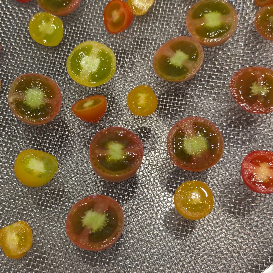 ミニトマト　天日干し　保存食