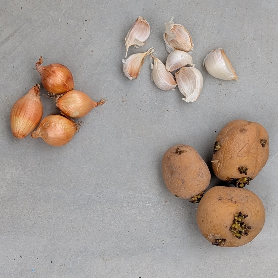 たまねぎ、にんにく、じゃがいも