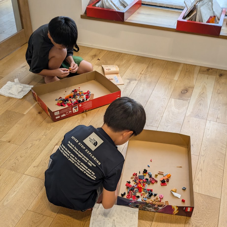 兄弟夢中　LEGO大好き　ドラゴン