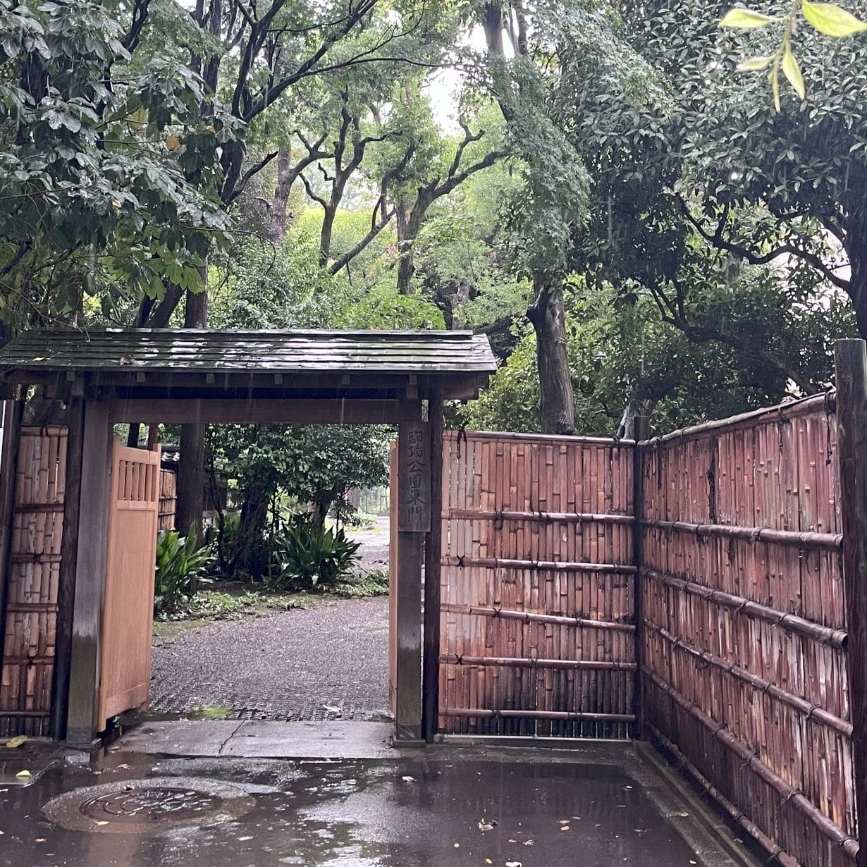 日本近代文学館内のカフェBUNDAN