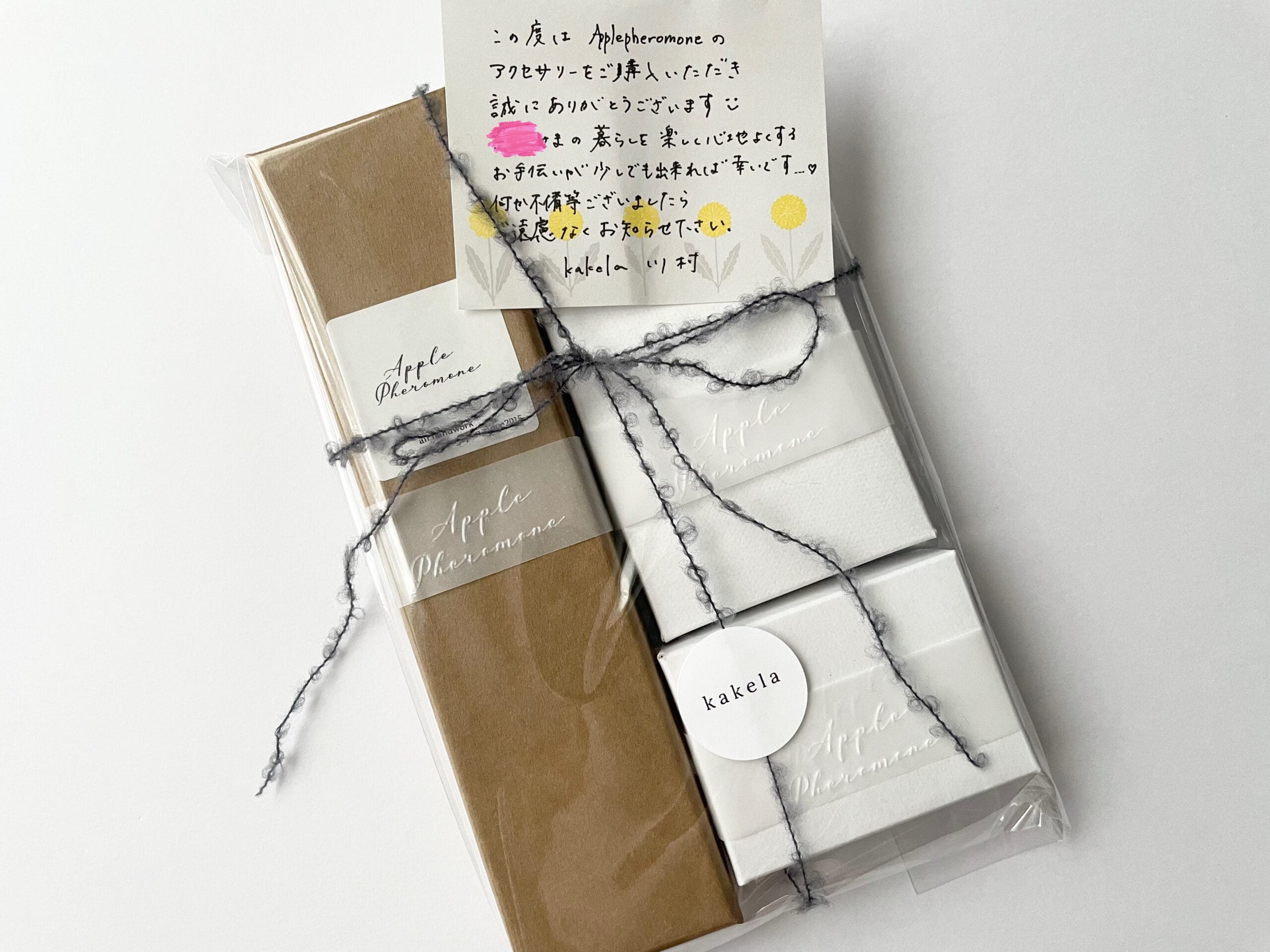 静岡の雑貨屋さんkakelaで購入した、Applepheromone（アップルフェロモン）のアクセサリー3点。