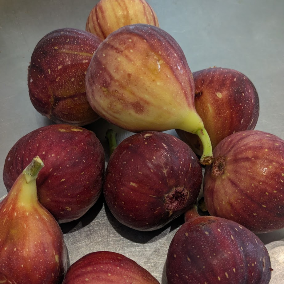 無花果　大量購入　秋のフルーツ