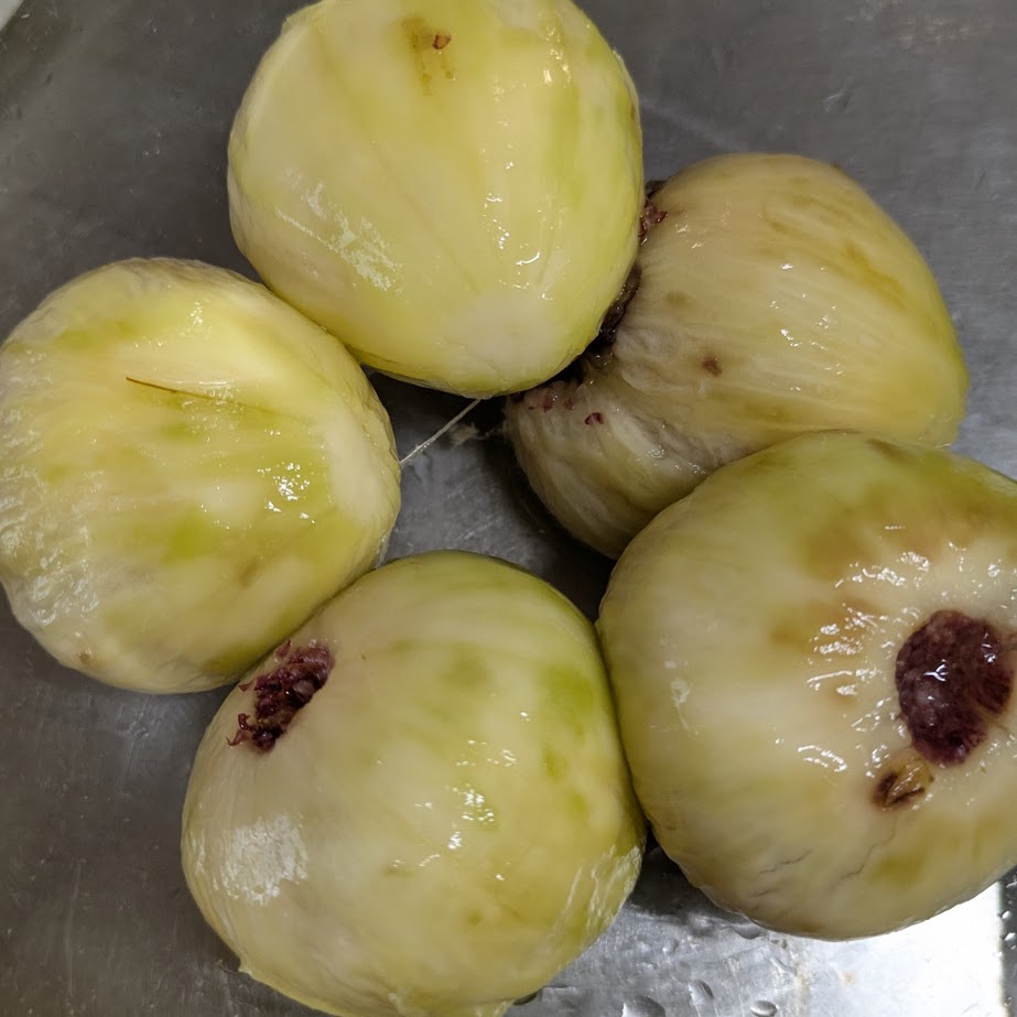 つるん　湯向き　無花果