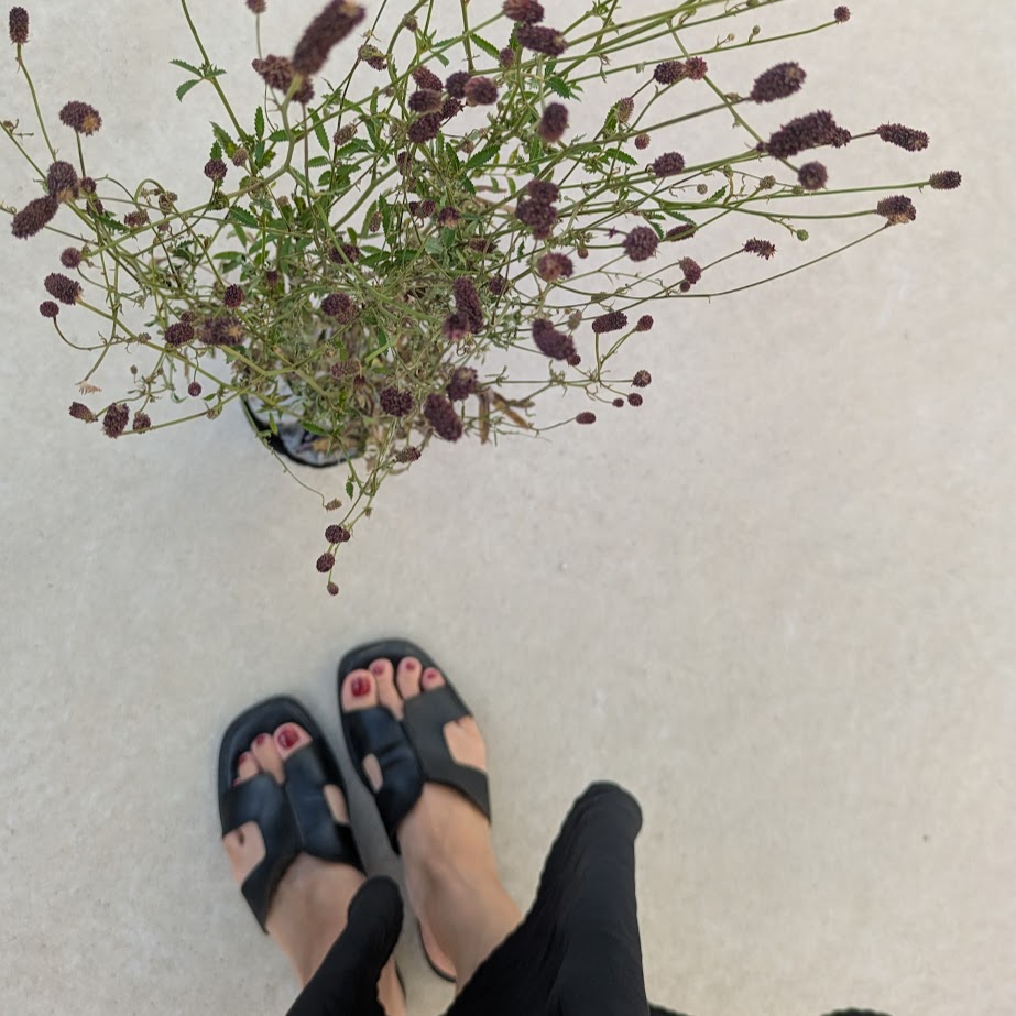 ワレモコウ　LEE100人隊コポ　庭