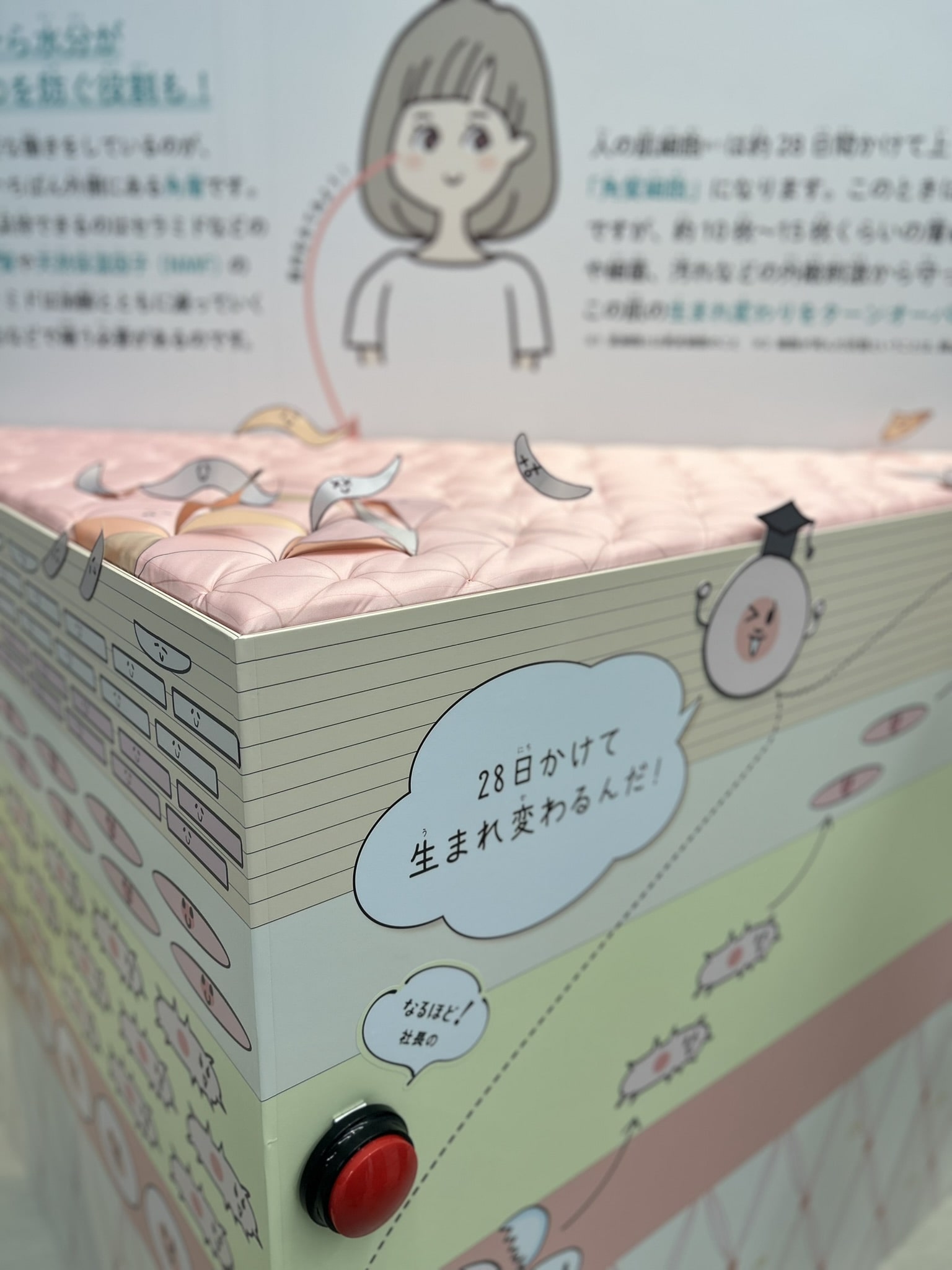 なるほど！心とからだのチャレンジ展　エリア１の紹介