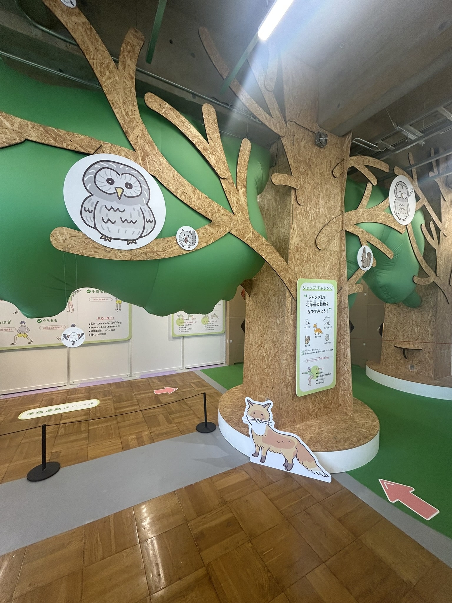 なるほど！肌とからだチャレンジ展　エリア５